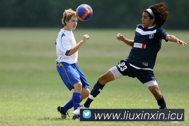 App Interface Preview